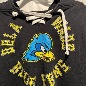 University of Delaware Blue Hens Hockey Sweatshirt